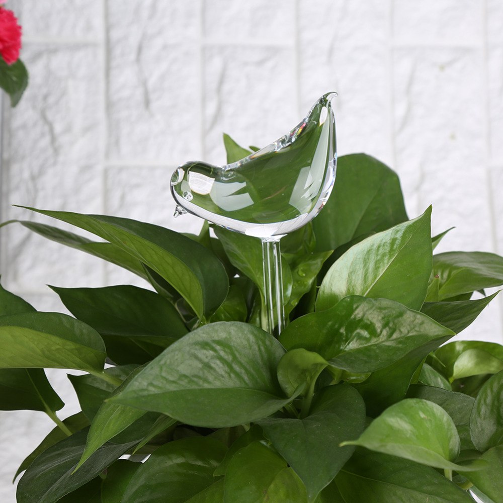 AUTOMATIC WATERER - BIRD CLEAR GLASS HOUSE PLANT WATERER