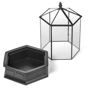 TERRARIUM - HEXAGON 3MM THICK GLASS WITH LEAD-FREE SOLDER