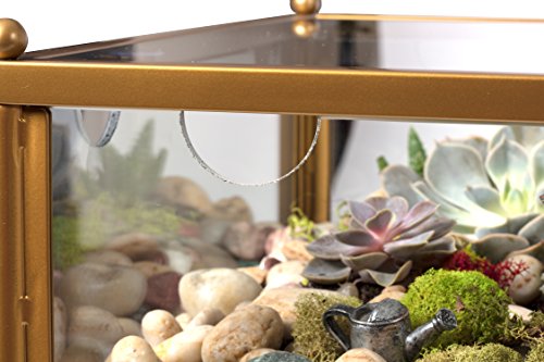 succulent terrarium table TERRARIUM END TABLE