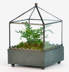 TERRARIUM - SQUARE 3MM THICK GLASS WITH LEAD-FREE SOLDER